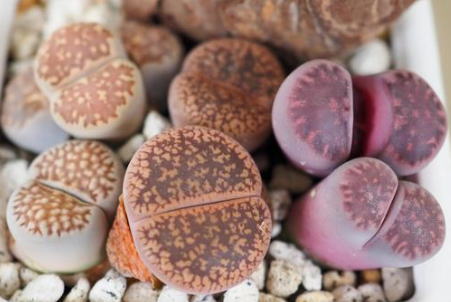 施設名を入れます