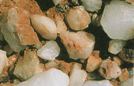 施設名を入れます