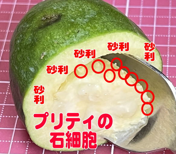 プリティの石細胞