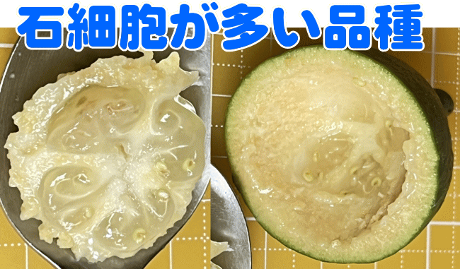 石細胞が多い品種