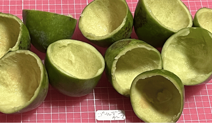 ゴールデングースの残飯