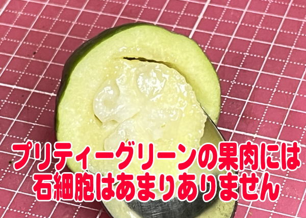 プリティグリーンの石細胞