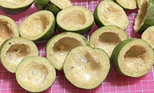 マンモスの残飯