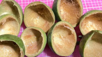 デンスチョイスの残飯