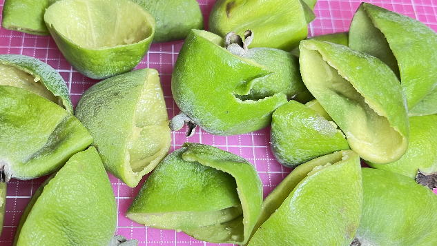 アントワネットの残飯