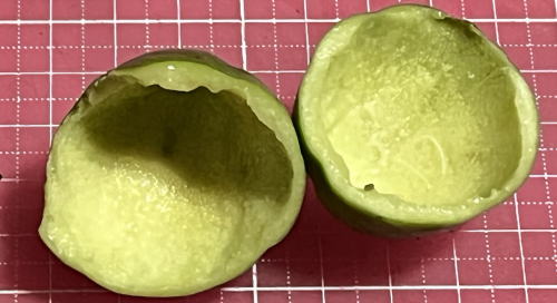 プリティグリーンの残飯