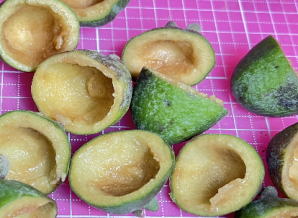 ニキータの残飯