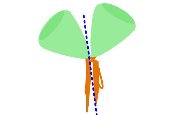 施設名を入れます