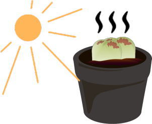 施設名を入れます