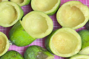 ウイキトウの残飯