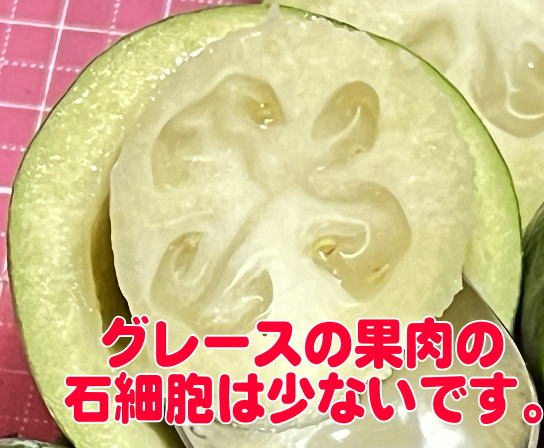 グレースの石細胞は少ないです。