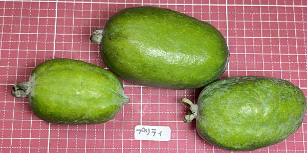 プリティの外見