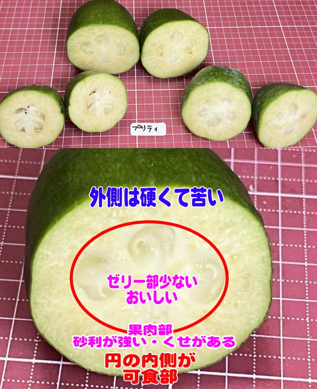 プリティの断面