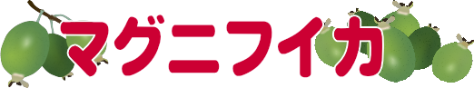 マグニフイカ（フェイジョアの品種）