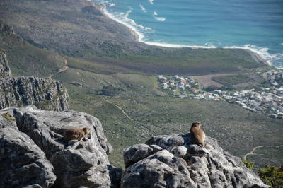 施設名を入れます