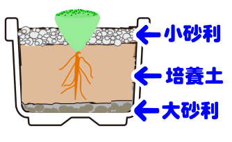 施設名を入れます